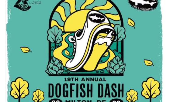 Dogfish Dash