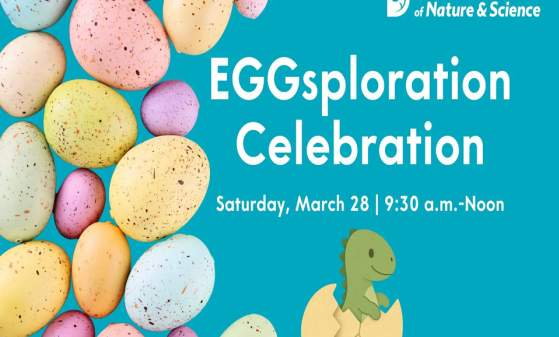 EGGsploration Celebration: The Science of Eggs