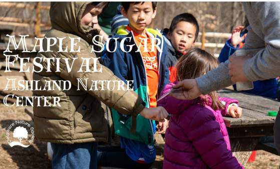 Maple Sugar Festival