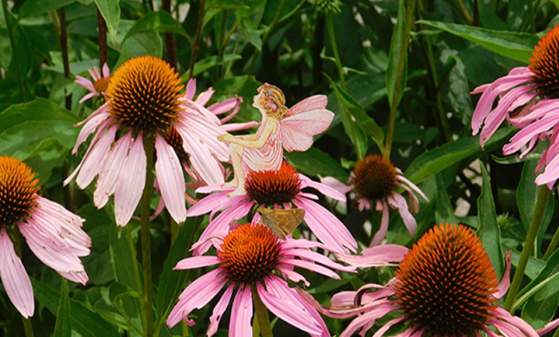 Fairies in the Garden