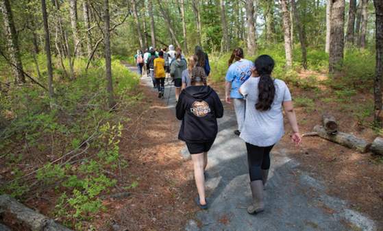 Nature Trail Hike: Cranberry Bog Hike