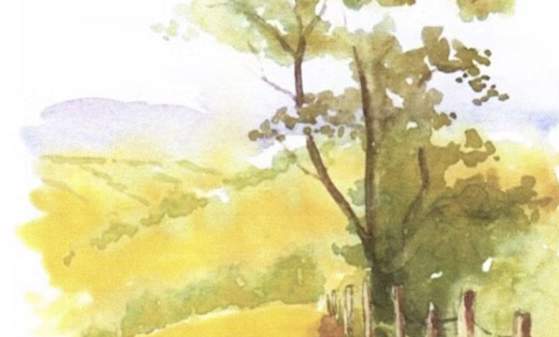 Art in Nature: Tree-Cookie Turkeys