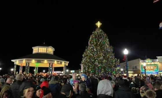 Rehoboth Beach Holiday Tree Lighting