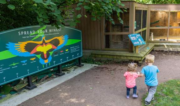 A Photographer Family's Guide to Ann Arbor