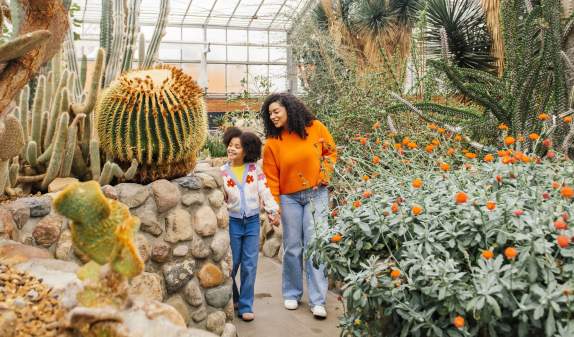 Spend a Weekend in Dixboro, Michigan