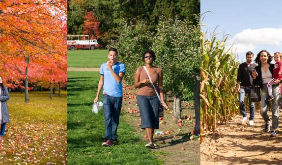 Make A2 Your Fall HQ: Autumn in the Ann Arbor Area