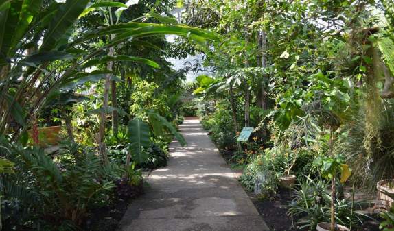 Winter Fun on U-M Campus