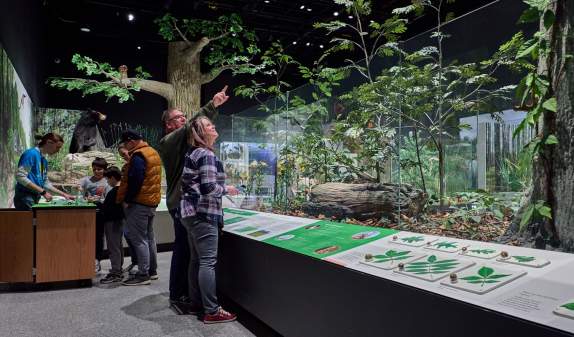 Sensory-Friendly Things to Do in Ann Arbor