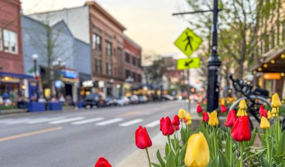 Ann Arbor Girls' Weekend: A 72-Hour Itinerary for Women 40+