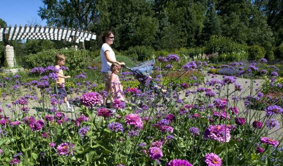 10 Free Family Fun Activities in the Ann Arbor Area