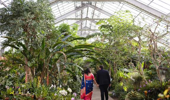 U-M Matthaei Botanical Gardens