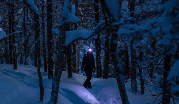 attachment-61d0cd4b518b34662f81f25c