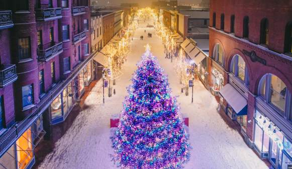 Tree Lighting on the Church Street Marketplace