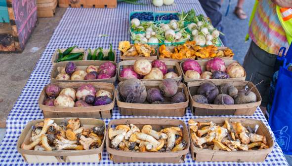 The Farmers Market Experience: The Freshest Finds Around