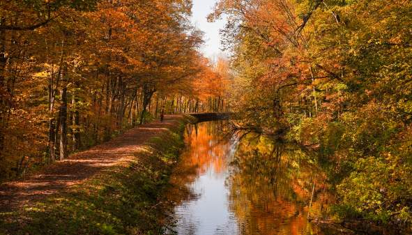 3 Beautiful Fall Foliage Cycling Routes & Mountain Bike Parks