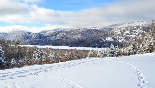 Things to Do in the Lake George Area in January