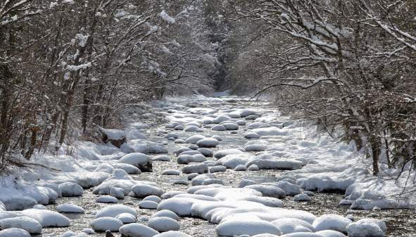 Things to Do in the Lake George Area in March