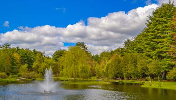 Basket Full of Memories - Picnicking in the Lake George Area