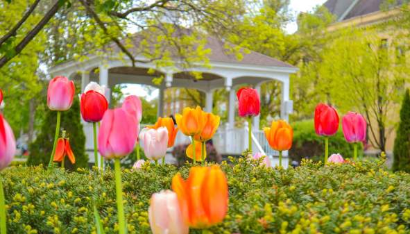 Spring Break in the Lake George Area
