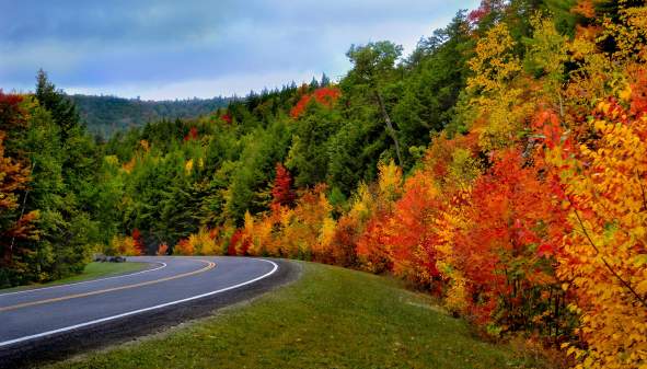 7 Scenic Drives for the Fall Foliage Follower