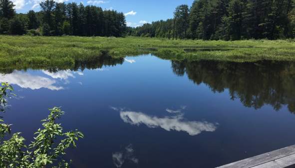 Chester Creek Hiking Trails