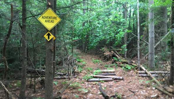 Cunningham Trails