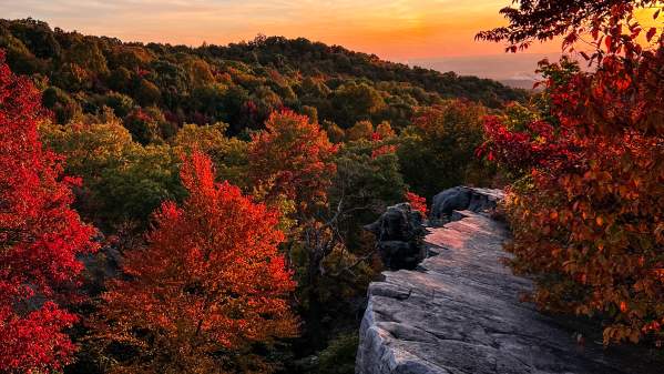 White Rocks Scenic fall photo