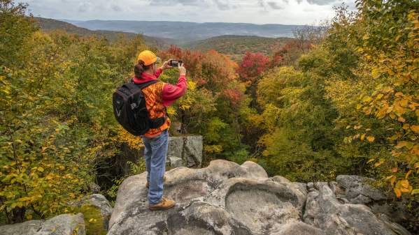 LHHT Overlook Fall