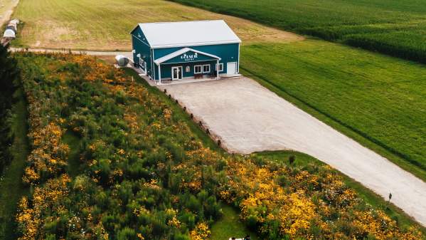 House in a rural landscape