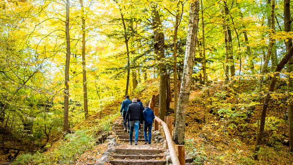 Seven Bridges Fall Family