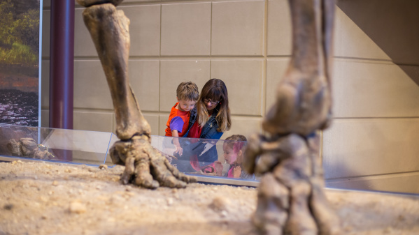 Milwaukee Public Museum