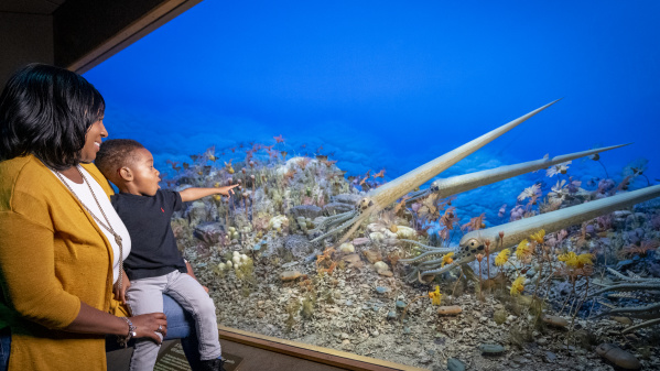 Milwaukee Public Museum