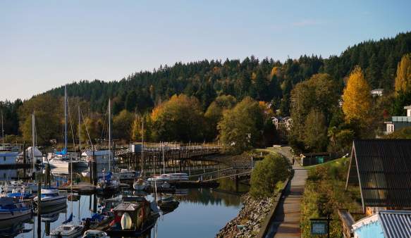 A view of boats in the harbour and yellow and green trees along the path and hillside.