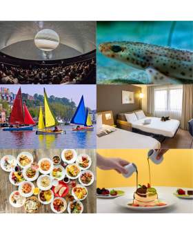 We The Curious planetarium, Baby Lesser Spotted Cat Shark resting on the Bristol Aquarium floor, All Aboard Water Sports, Novotel Bristol Centre bedroom, Za Za Baazar selection of dishes, Fluffy Fluffy pancakes