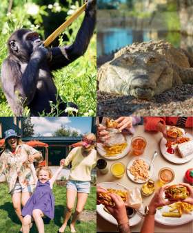 Gorilla, Fotón del falso gavial del gran infravalorado Emilio, Family at Mollie's, and food at Mollie's Diner (burgers and chips)