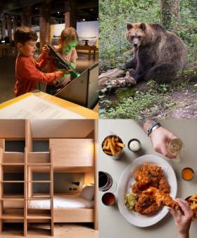 Aerospace Bristol, Bear Wood at Bristol Zoo Project, Mollie's family bunk and Mollie's Diner