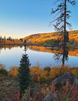 Where to go Leaf Peeping in Grand Junction, CO