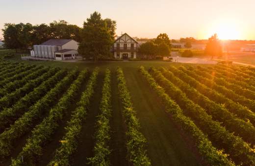 Where to Find the Best Fall Drinks in Clarksville