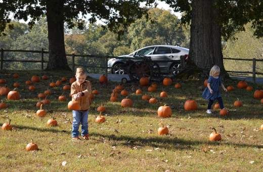 October in Clarksville: Your Can't-Miss Events Guide