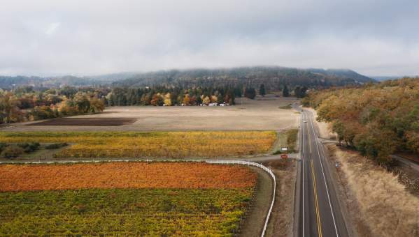 fall aerial