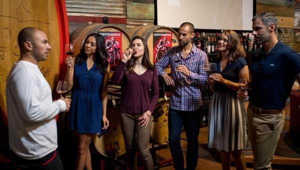 Several people sip on wine glasses during an educational wine tour