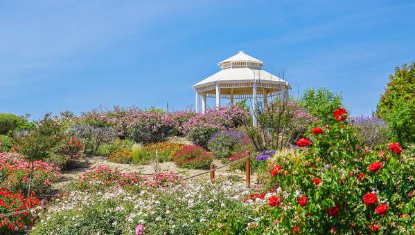 A wooden gazebo in the middle of a large garden with blooming flowers