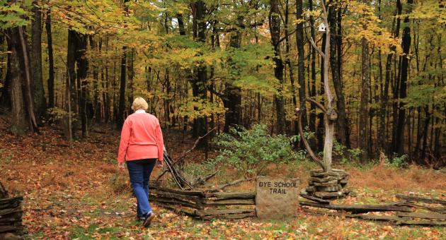 Dye School Trail - Dans Mountain State Park