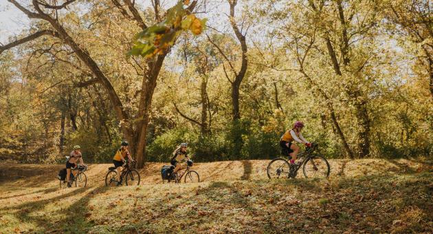 A group of four women bicycle on a trail in woods with fall leave colors of yellows and browns.