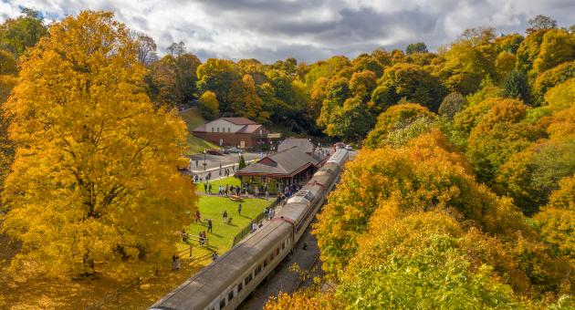 An aerial view of a train docked at a small depot station surrounded by trees full of yellow fall leaves.