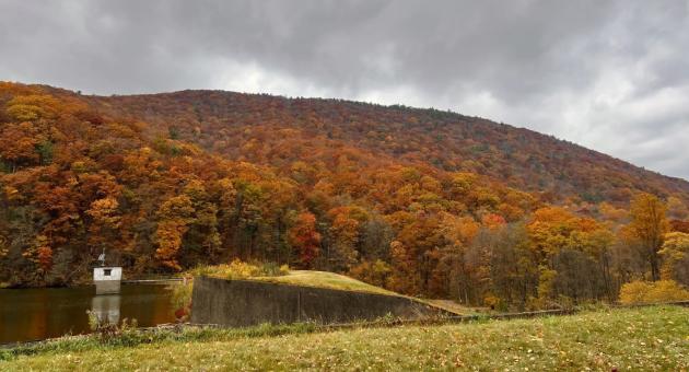 Goat Path Trail