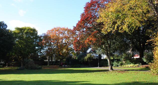 Image of Blackmore Gardens Trees