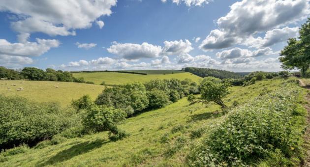 sunny day landscape of Chawleigh
