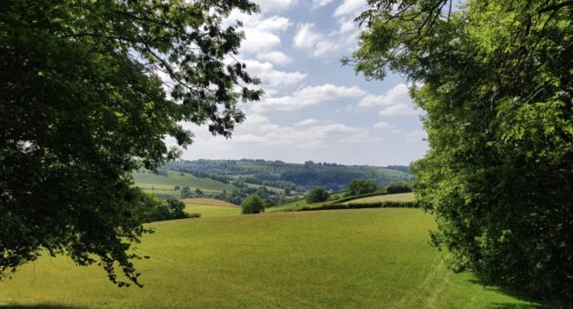 A serene landscape of green rolling hills under a bright blue sky with fluffy clouds. Framed by lush trees, the scene conveys peace and natural beauty.