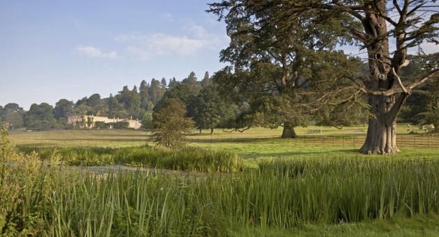 A serene landscape features a large tree by a pond in the foreground, with a grassy field and a stately home in the distance under a clear blue sky.